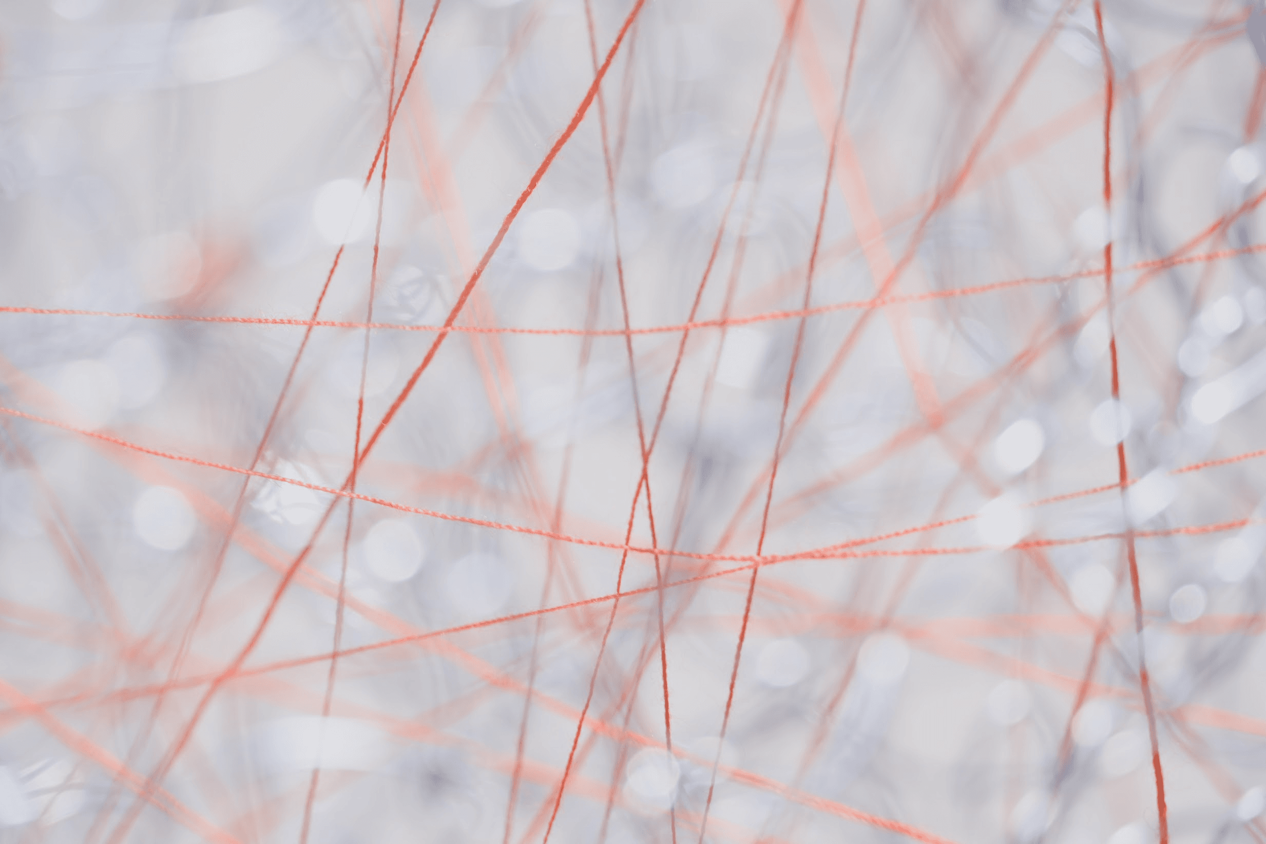 『日常の美学プロジェクト』を始めました